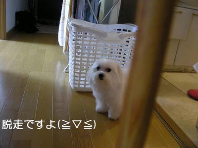 DSCN9414.JPG
