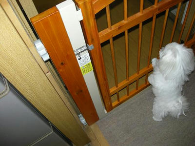 DSCN9696.JPG