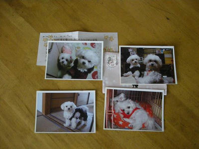 DSCN9703.JPG