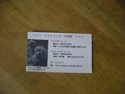 DSCN9704.JPG