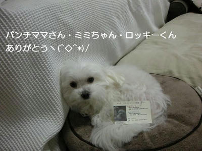 DSCN9706.JPG