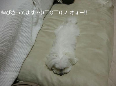 DSCN9515.JPG
