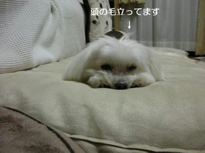 DSCN9518.JPG