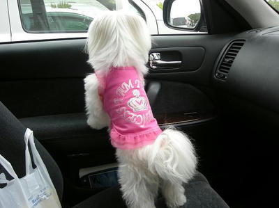 DSCN9623.JPG