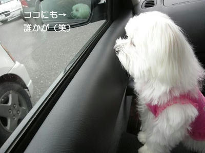DSCN9627.JPG