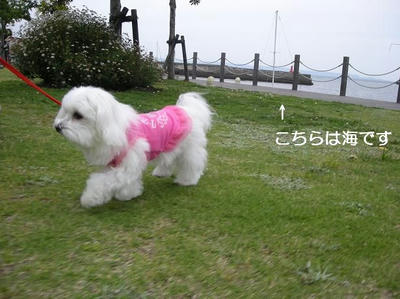 DSCN9652.JPG
