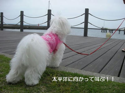 DSCN9678.JPG