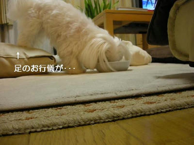 DSCN9684.JPG