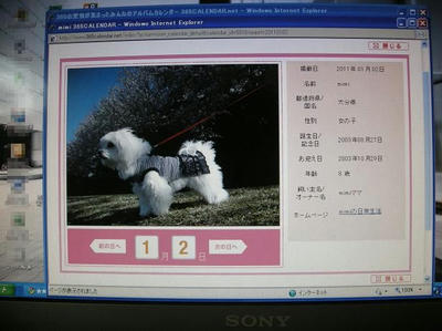 DSCN9859.JPG