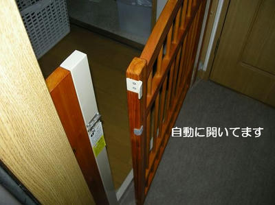 DSCN9877.JPG