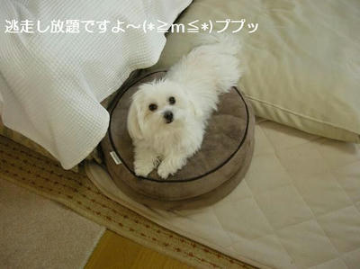 DSCN9902.JPG