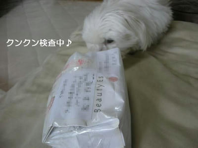DSCN9903.JPG