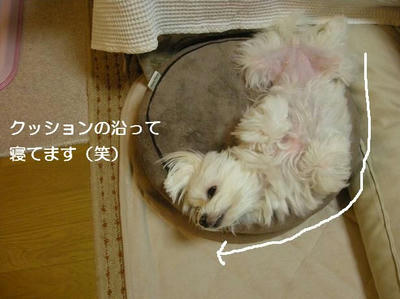 DSCN9888.JPG
