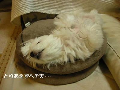 DSCN9889.JPG