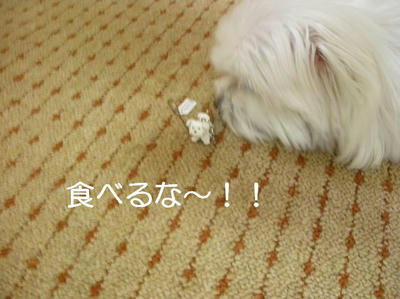 DSCN9925.JPG