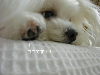 DSCN9930.JPG