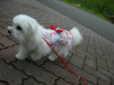 DSCN9875.JPG
