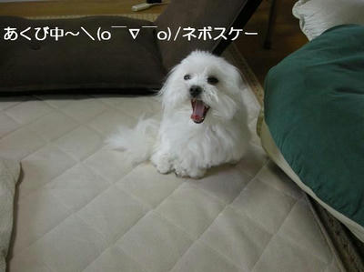 DSCN9934.JPG