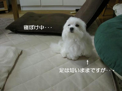 DSCN9938.JPG