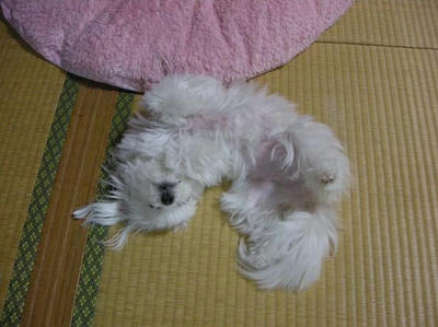 DSCN9898.JPG