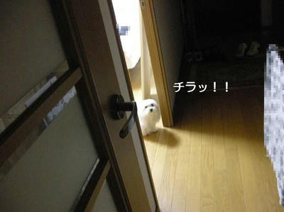 DSCN9948.JPG