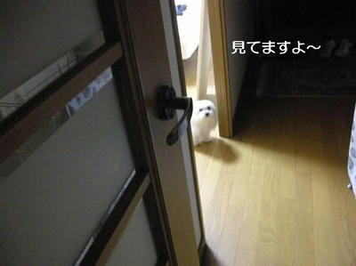 DSCN9949.JPG