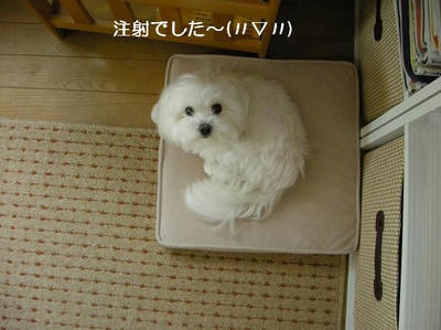 DSCN9957.JPG