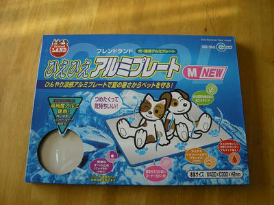 DSCN9981.JPG