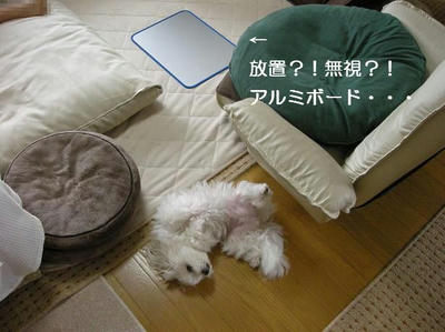 DSCN9986.JPG