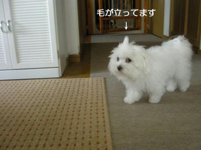 DSCN9973.JPG