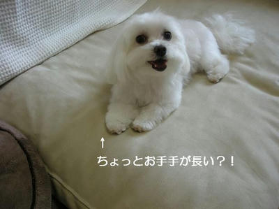 DSCN0015.JPG