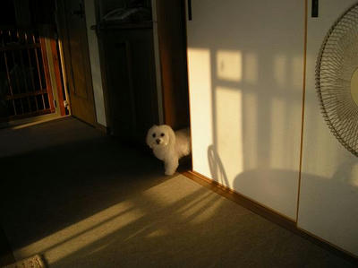 DSCN0041.JPG