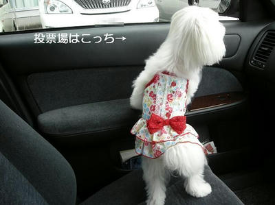 DSCN9863.JPG