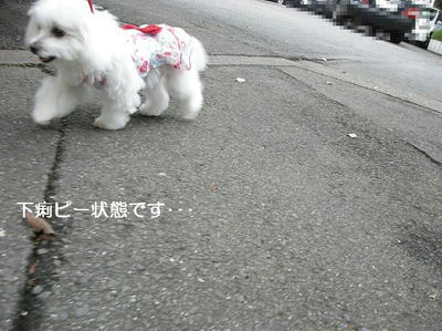 DSCN9873.JPG