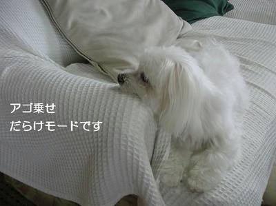 DSCN9918.JPG