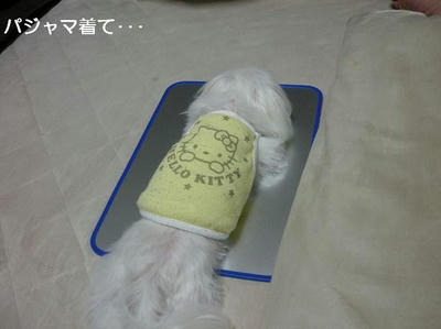 DSCN9932.JPG