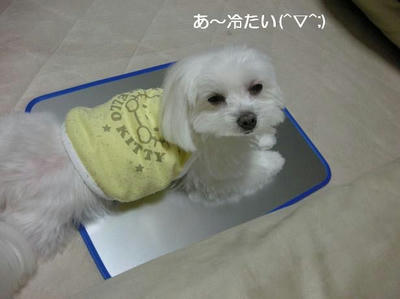 DSCN9935.JPG