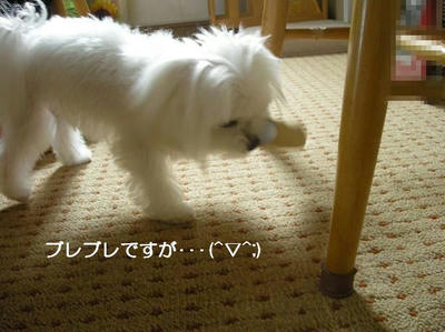 DSCN9928.JPG