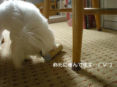 DSCN9929.JPG