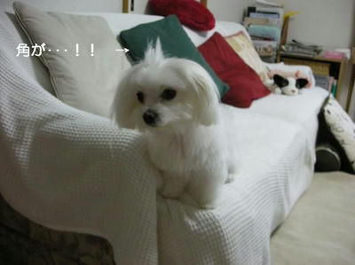 DSCN9885.JPG