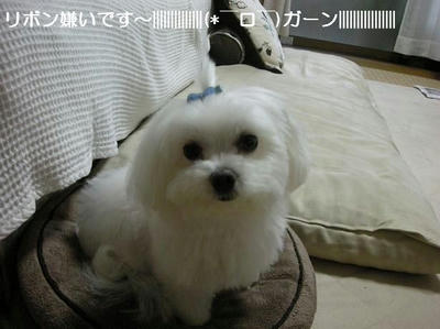 DSCN9907.JPG