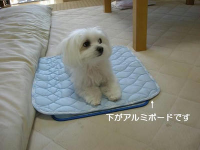 DSCN9987.JPG