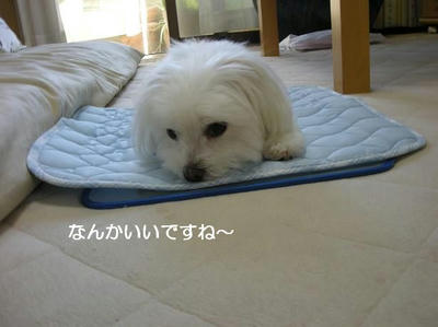 DSCN9989.JPG