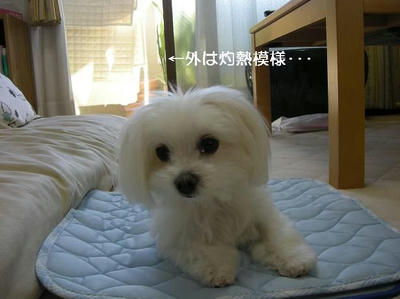 DSCN9992.JPG
