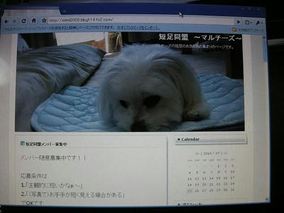 DSCN0004.JPG