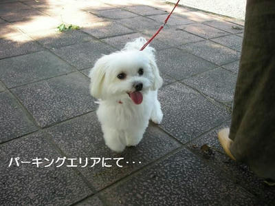 DSCN9956.JPG