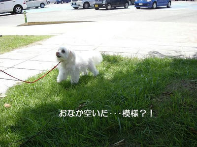 DSCN9974.JPG