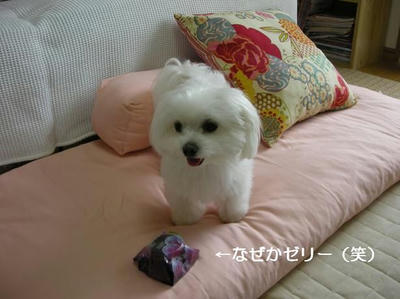 DSCN0007.JPG