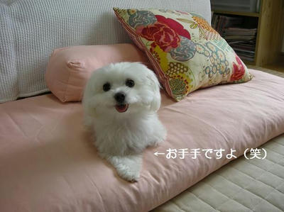DSCN0009.JPG