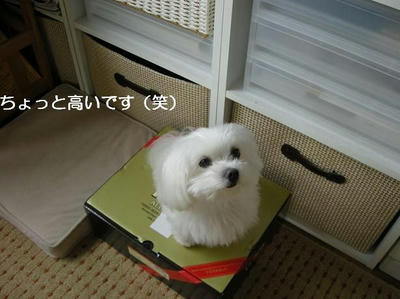DSCN0018.JPG
